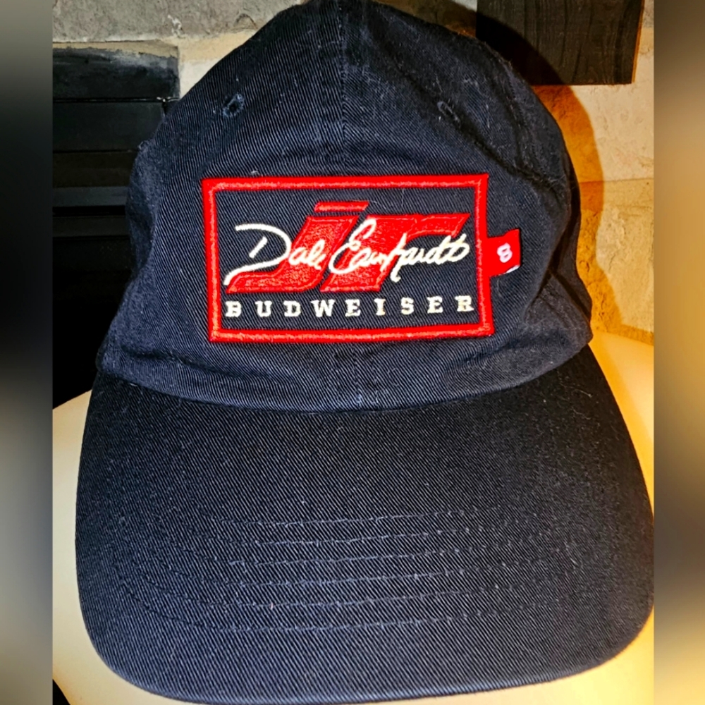 VINTAGE DALE EARNHARDT JR. CAP